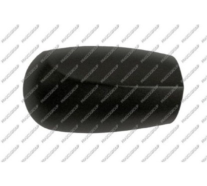 PRASCO Copertura, Specchio esterno FT1337403