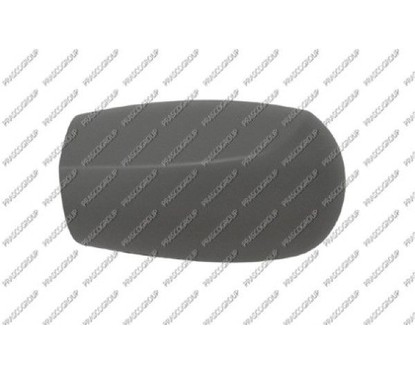PRASCO Copertura, Specchio esterno FT1337414