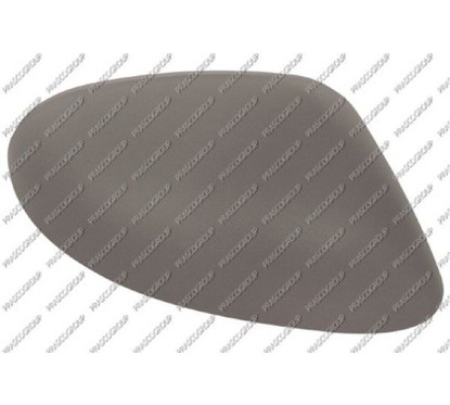 PRASCO Copertura, Specchio esterno LA0027413