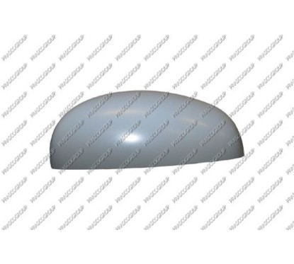 PRASCO Copertura, Specchio esterno SK3247413