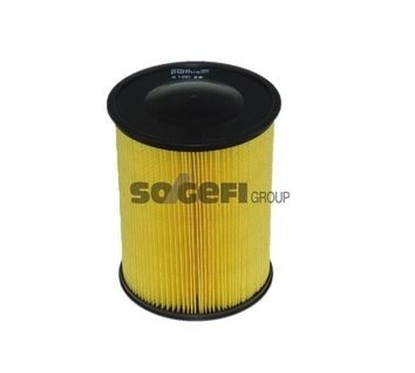 Purflux Filtro Aria Ford A1297