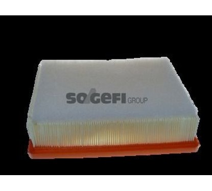 Purflux Filtro Aria Renault A1789