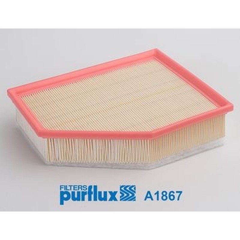 PURFLUX Filtro aria A1867