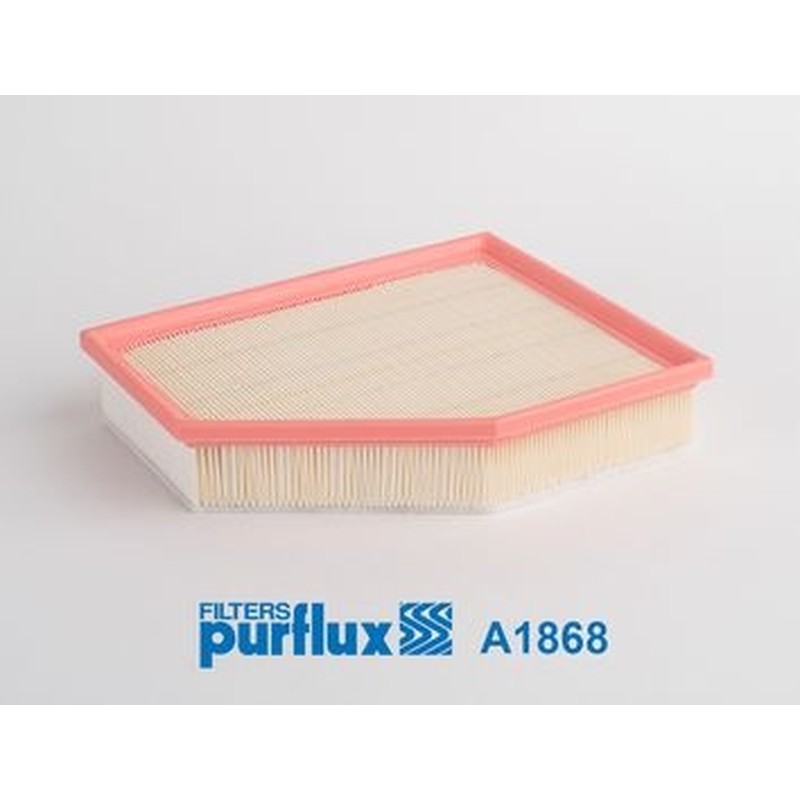 PURFLUX Filtro aria A1868