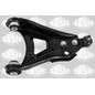 Sasic Braccio Osc Dx Re Clio Ii 4003366