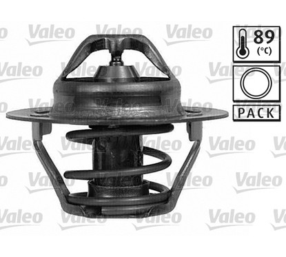 Valeo Tht 89?C+Giunto Opel, Renault 820008