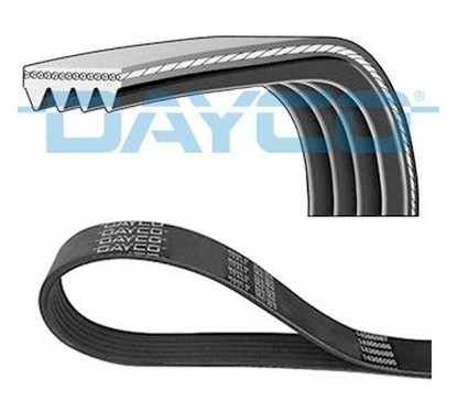 DAYCO Cinghia Poly-V 4PK910 per ripristinare il corretto funzionamento del componente