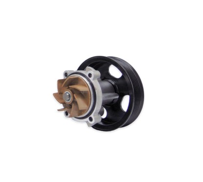 DAYCO Pompa acqua DP200