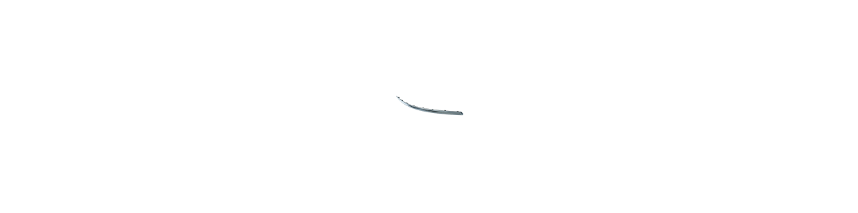 Modanatura