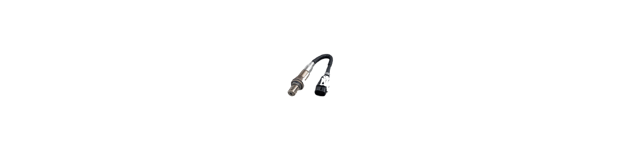 Sonda Lambda