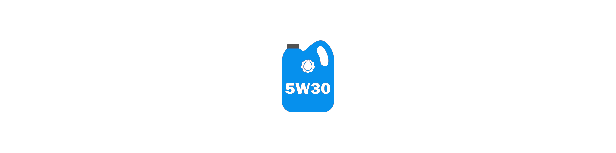 Olio 5W30
