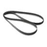Cinghia Poly-V